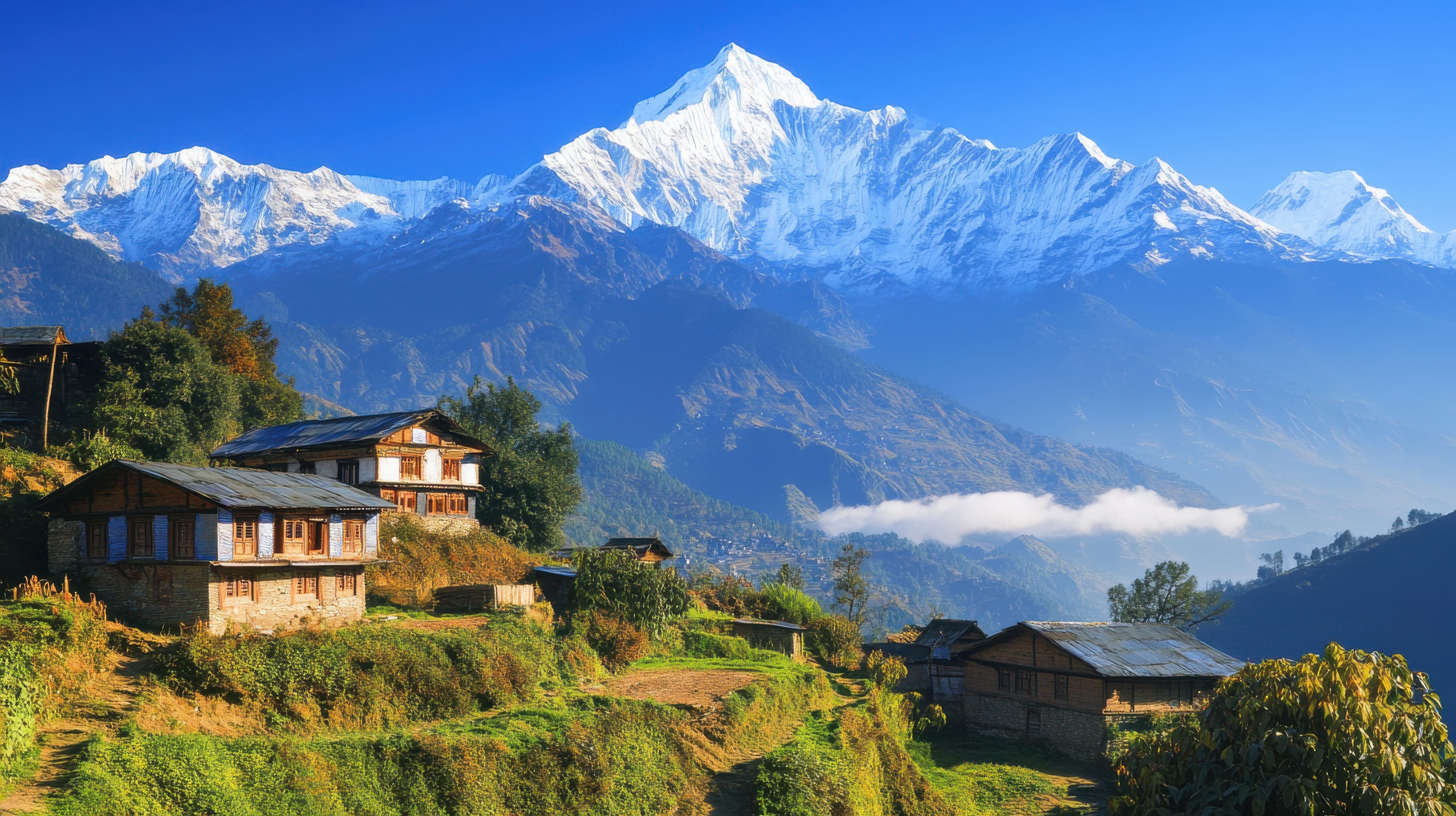 Nepal as the Global Command Center field image